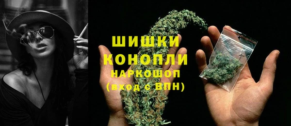 Альфа ПВП Осинники