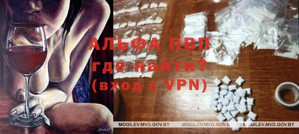Альфа ПВП Осинники
